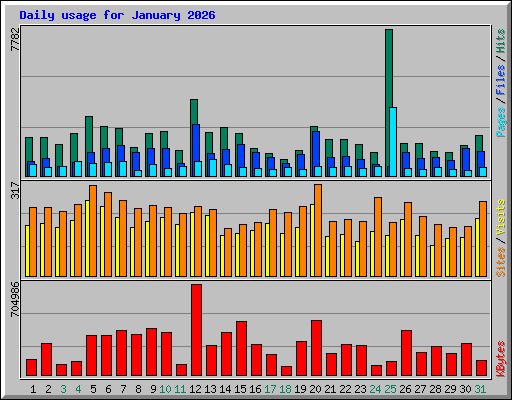 Daily usage for January 2026
