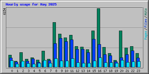 Hourly usage for May 2025