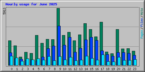 Hourly usage for June 2025