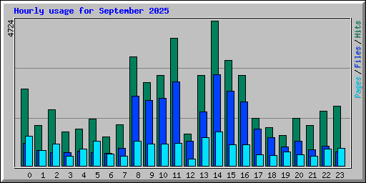 Hourly usage for September 2025