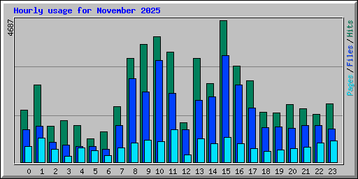 Hourly usage for November 2025