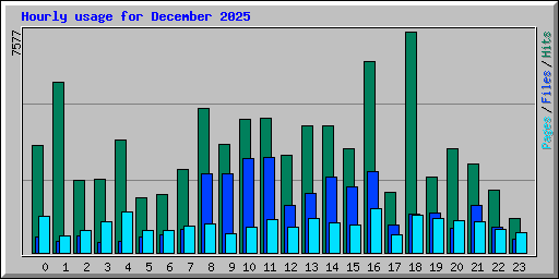 Hourly usage for December 2025